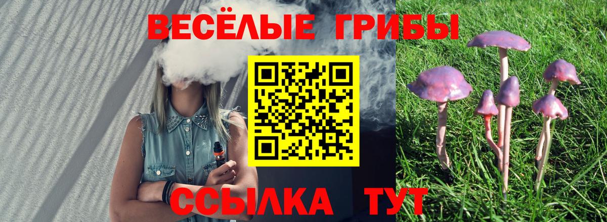 Нерюнгри  Галлюциногенные грибы MAGIC MUSHROOMS  Галлюциногенные грибы MAGIC MUSHROOMS  Вход с VPN 
